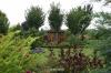 Botanischer Garten