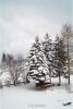 Winter 2001