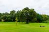 Cabra Castle