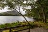Blick auf den Pollacapall Lough vor der Kylemore Abbey
