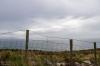 Irland