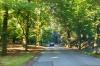 Auf der Fahrt zum Muckross House