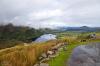 Glanmore Lake Viewpoint kurz vorm Healy Pass