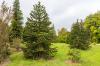 National Botanic Gardens