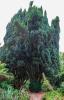 National Botanic Gardens