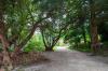 National Botanic Gardens