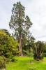 National Botanic Gardens