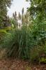 National Botanic Gardens
