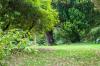 National Botanic Gardens