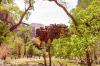 Zion National Park