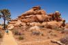 Joshua Tree National Park