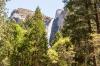 Yosemite National Park