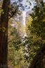 Yosemite National Park