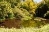 Golden Gate Park