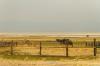 Antelope Island State Park