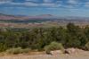 Reno