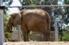 San Diego Zoo