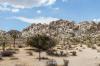 Joshua Tree National Park