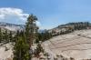 Yosemite National Park
