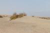 Death Valley National Park