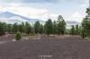 Sunset Crater National Monument